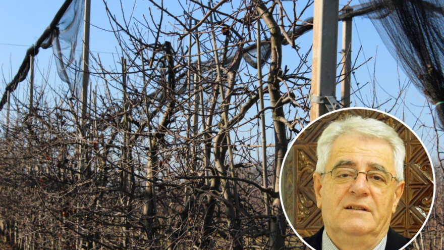 Kišni ožujak - mršava ljetina