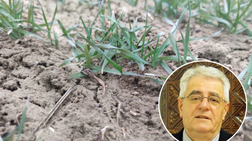 Bolje da te majka bije, nego ožujsko Sunce ugrije