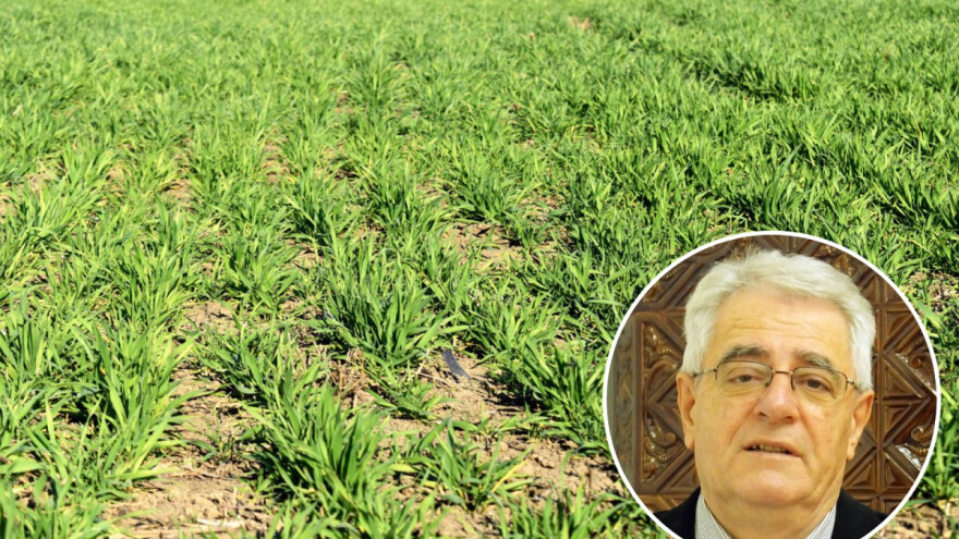 Stiže toliko potrebna kiša, ali i mraz