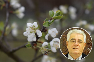 Suši je došao kraj, ali opasnost od pojave mraza još uvijek traje