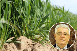 Suhe i sunčane dane kvalitetno iskoristite, ali i pripremite se na zaštitu od mraza