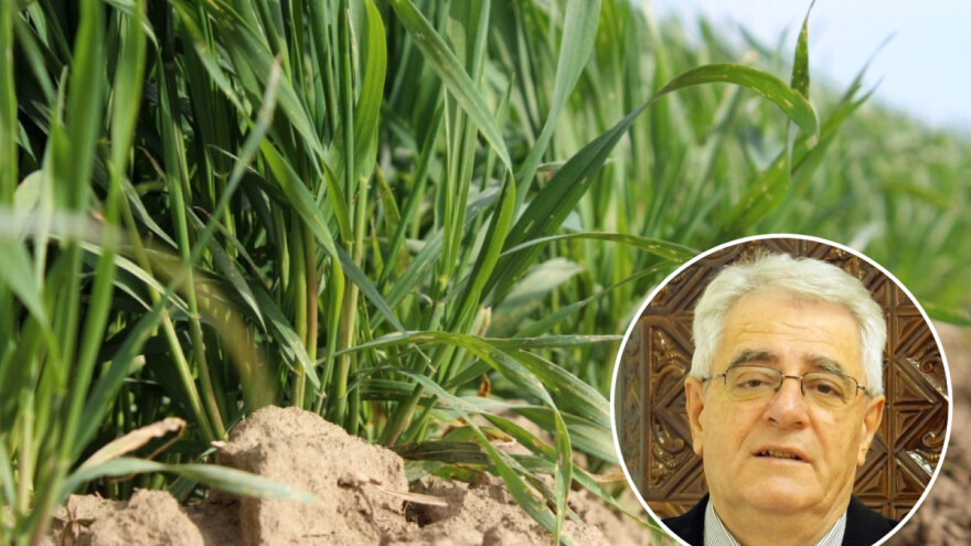 Suhe i sunčane dane kvalitetno iskoristite, ali i pripremite se na zaštitu od mraza