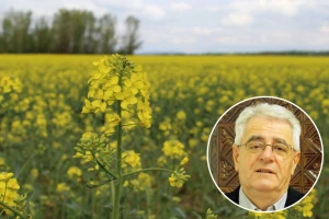 Opasnost od pojave mraza još uvijek nije prošla