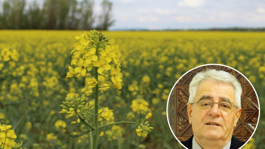 Opasnost od pojave mraza još uvijek nije prošla