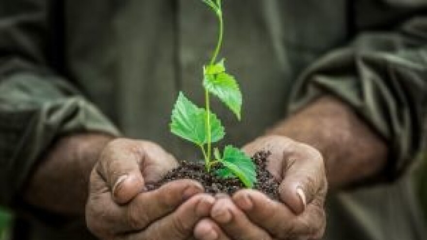 Agro Arca 2014 – Biograd na Moru