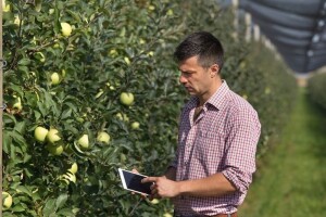 U najavi izrada strategije za unaprjeđenje razvoja poljoprivrede