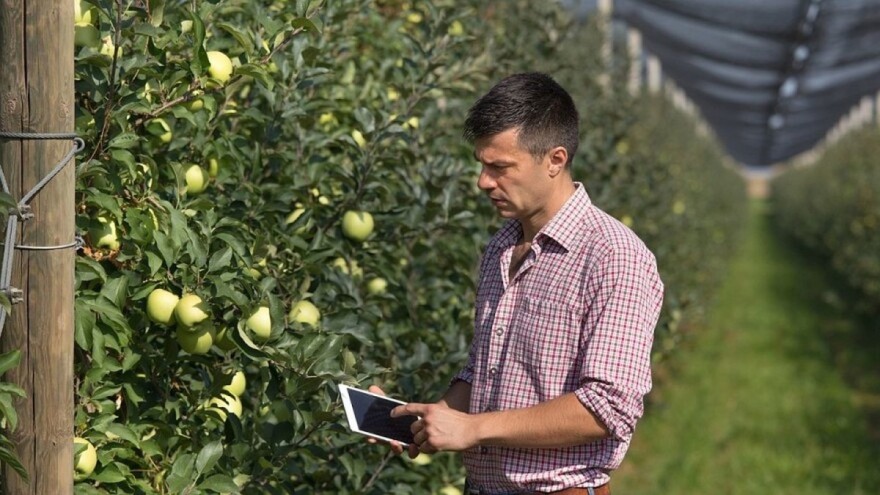 U najavi izrada strategije za unaprjeđenje razvoja poljoprivrede