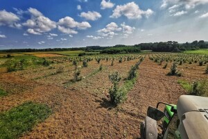 Površine pod ekološkom proizvodnjom u EU porasle za 34% od 2012. godine