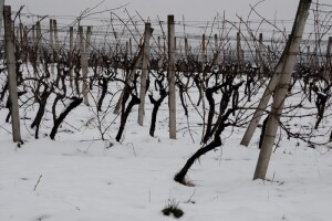 Izgledi za Hrvatsku za 27.02.2015-01.03.2015