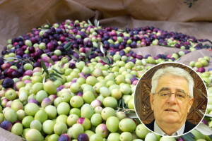 Babljem ljetu uskoro dolazi kraj