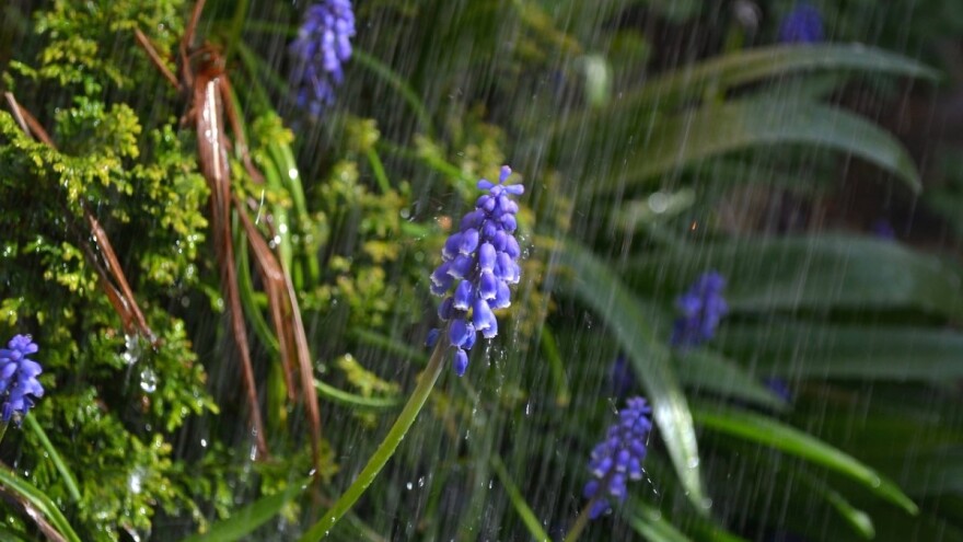 Subota suha i sunčana pa tri dana kiše