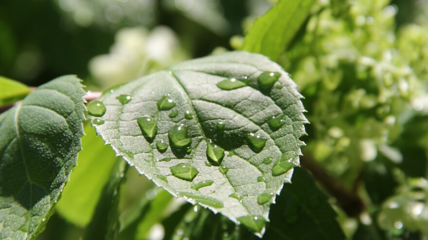 Pljuskovi bi mogli prekidati radove na otvorenom