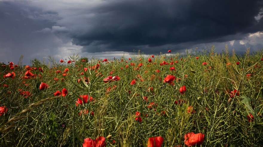 Povećajte kontrolu nad nasadima, mogući lokalni pljuskovi s grmljavinom