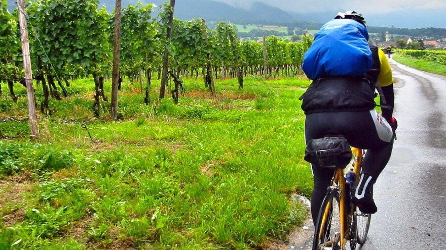 Toplo i vlažno vrijeme pogoduje bolestima, zaštitite nasade od tuče