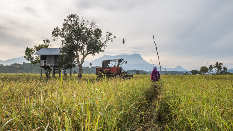 Donosi li početak siječnja i snijeg?