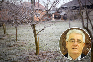Priprema za zaštitu od moguće pojave mraza može početi