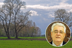 Kad u travnju kiša pada, tko se dobru da ne nada