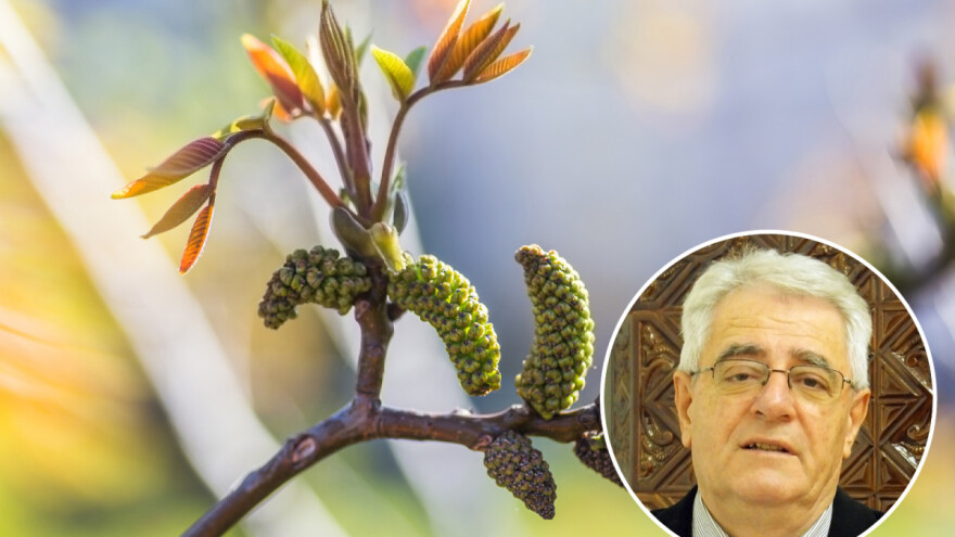 Orah je prolistao - sjetva kukuruza može početi