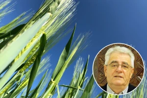 Tlo je napokon vlažno, ali opasnost od pojave mraza još nije prošla