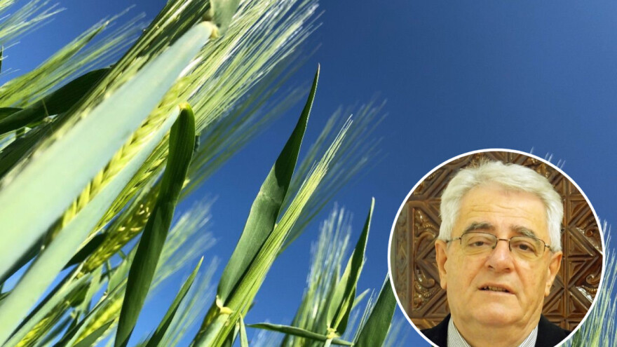 Tlo je napokon vlažno, ali opasnost od pojave mraza još nije prošla