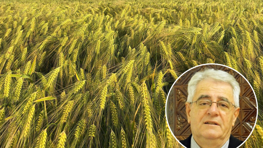 Ovaj će tjedan biti najtopliji u povijesti mjerenja?