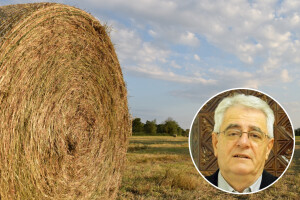 Bijeli oblak pada, bit će kiše i hlada, a kad crni oblak leti, duga kiša prijeti