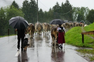 Zbog grmljavine izdat žuti meteoalarm