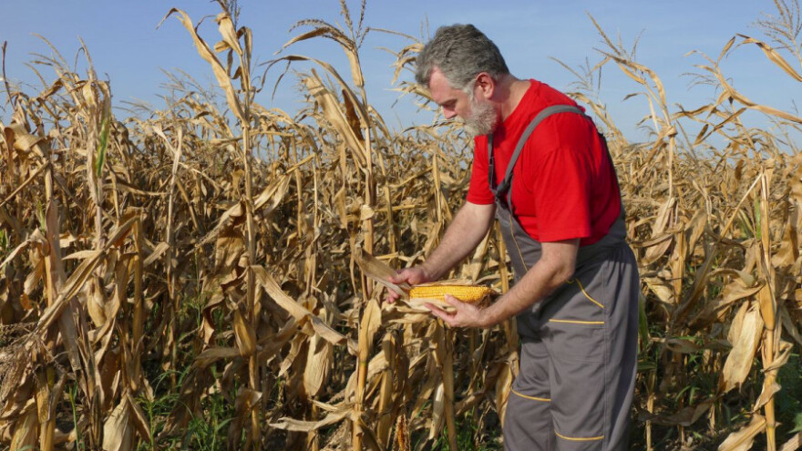 Vrijeme idealno za završetak berbi i žetvi