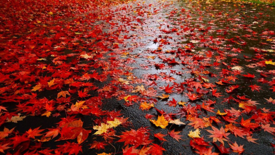 Oblačno vrijeme uz povremenu kišu