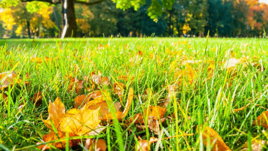 Vrijeme i dalje pogodno za poljske radove