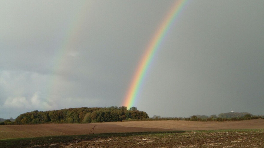 Kiša povećava zalihe vlage u tlu