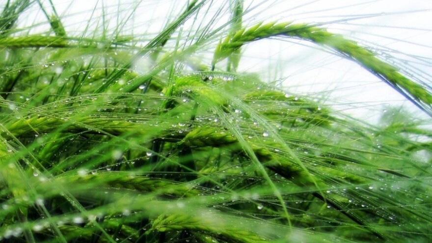 Danas u polje, već sutra pogoršanje vremena