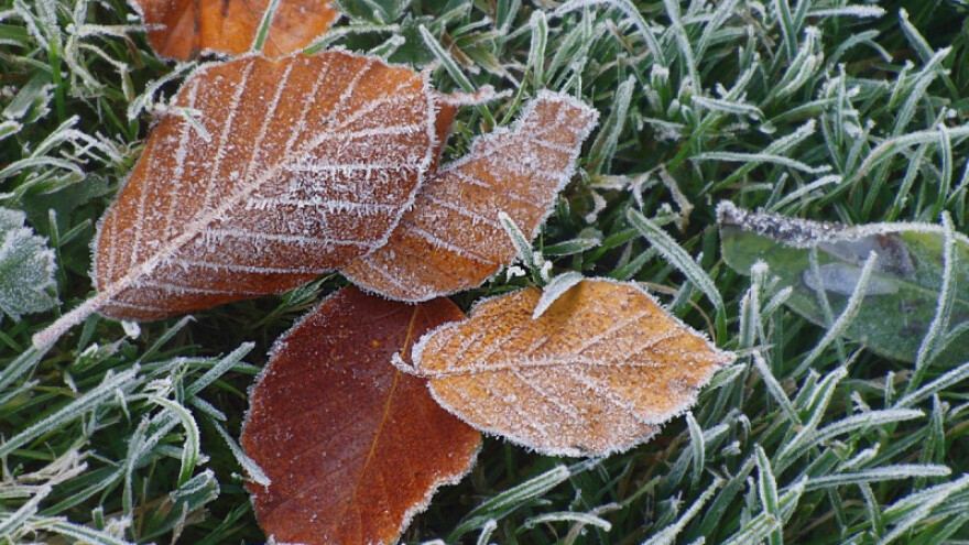 Temperature primjerenije kraju novembra