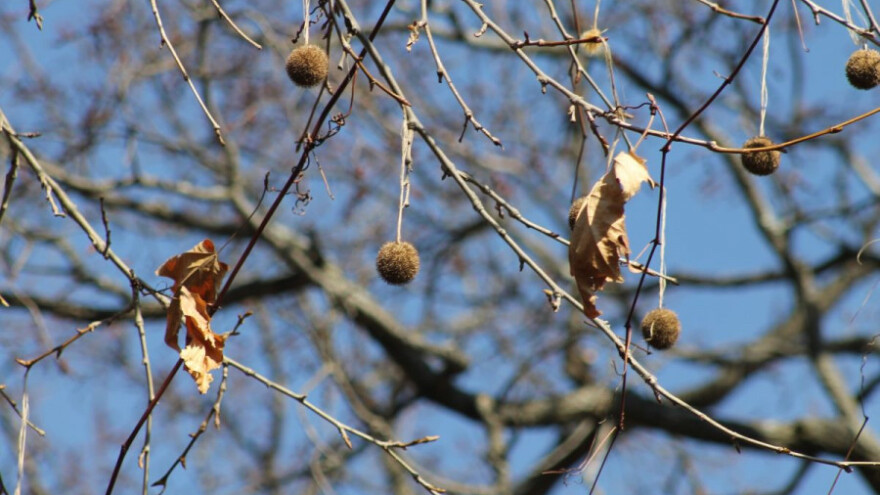 Sunčano s temperaturama do 14 stupnjeva u plusu