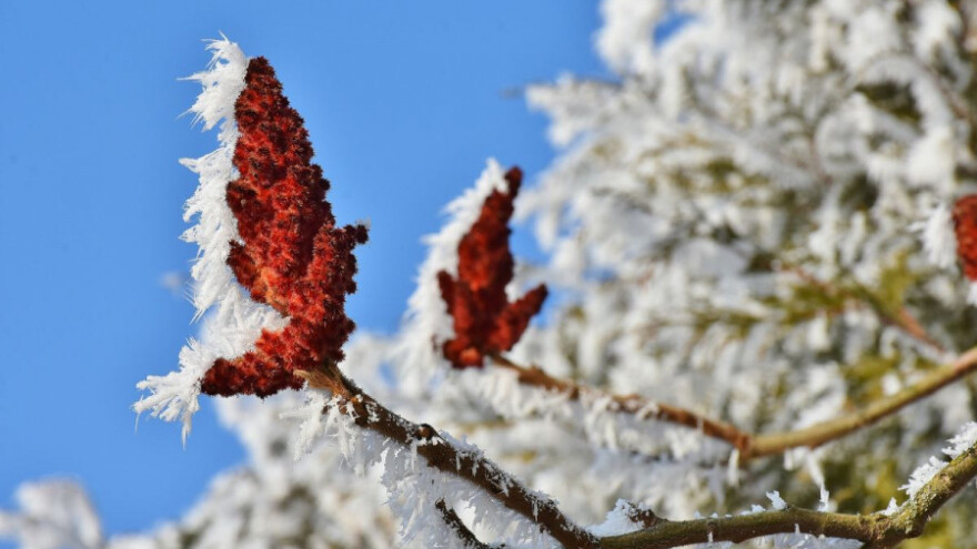 Hladnoća popušta, temperatura u plusu
