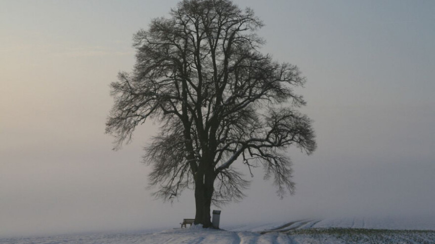 Hladna jutra, ali više dnevne temperature