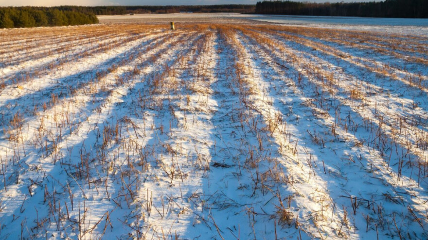 Vrijeme pogoduje ozimim usjevima