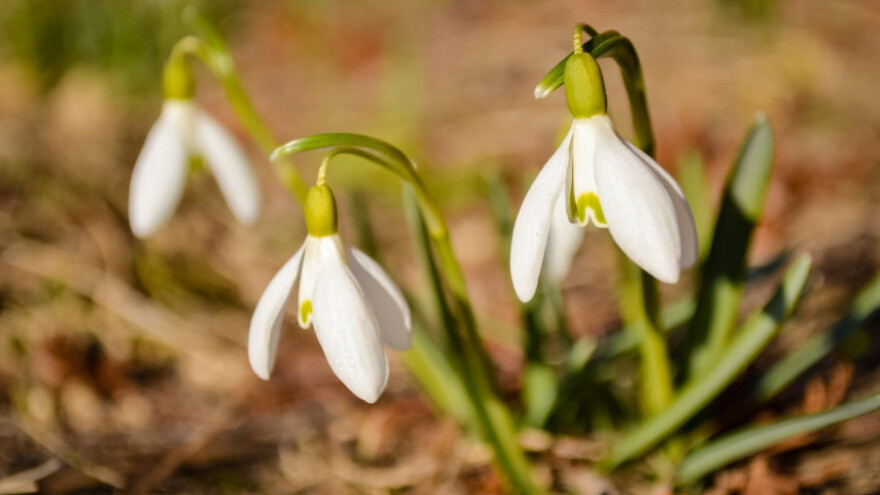 Temperature i do 20 stupnjeva u plusu!