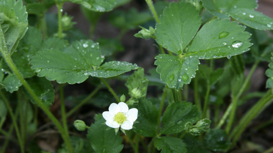 Kiša će ometati radove na otvorenom