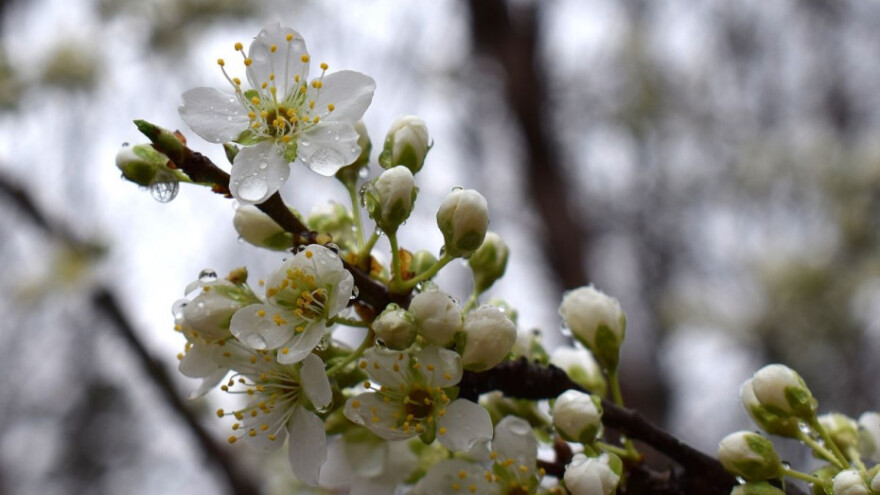 Još slabe kiše, no sunce se vraća