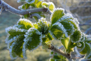 Jutra u minusu, raste dnevna temperatura