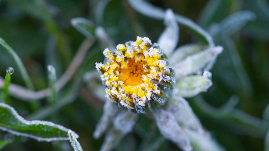 Vrijeme stabilnije, mraz i dalje prijeti