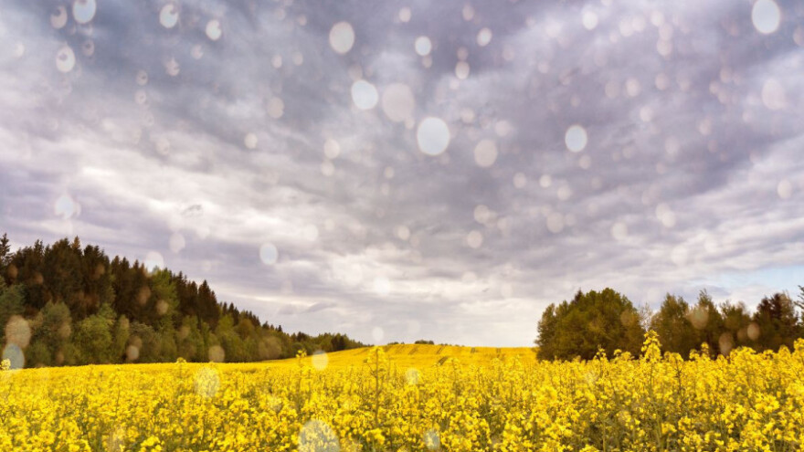 Vrijeme i dalje ometa radove na polju