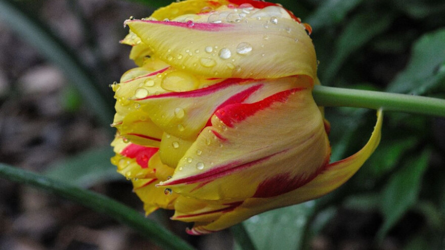 Uslovi za radove na otvorenom i dalje nepovoljni