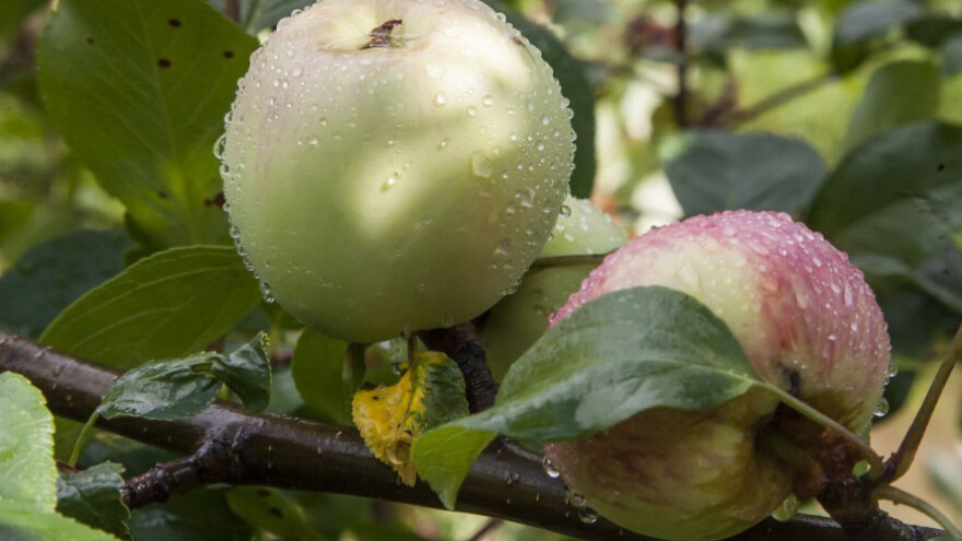 Nepovoljni vremenski uvjeti za radove na otvorenom