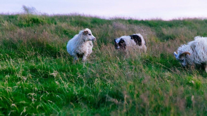Nestabilno vrijeme ometat će radove u polju