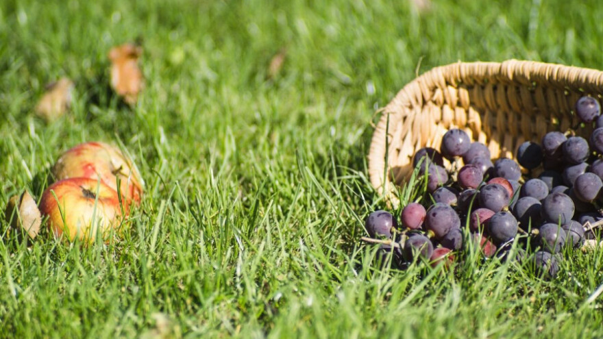 Petak 13. donosi (pre)toplo vrijeme za ovaj dio godine