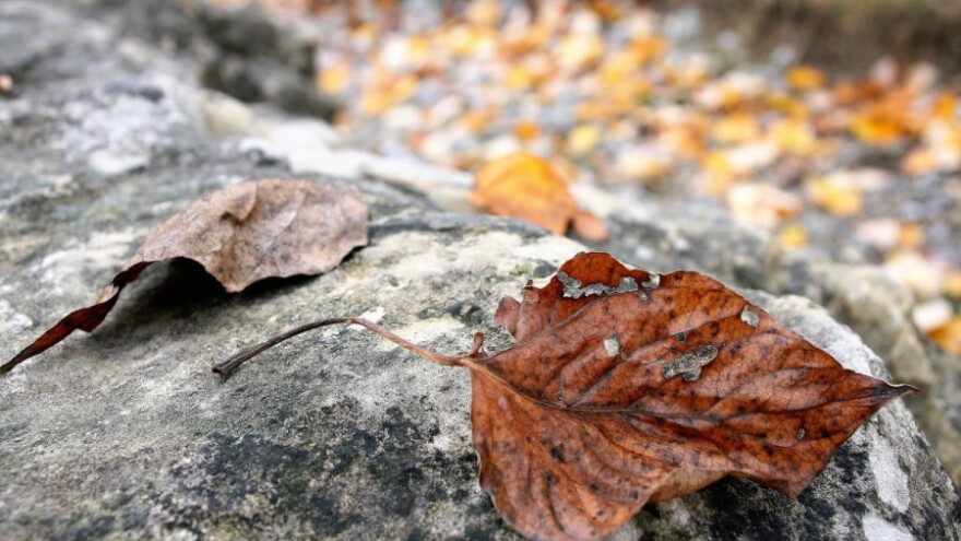 Relativno nepovoljni uvjeti za rad na polju