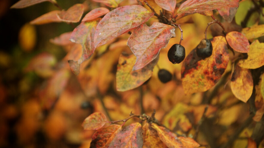Uvjeti za rad na otvorenom i dalje nepovoljni