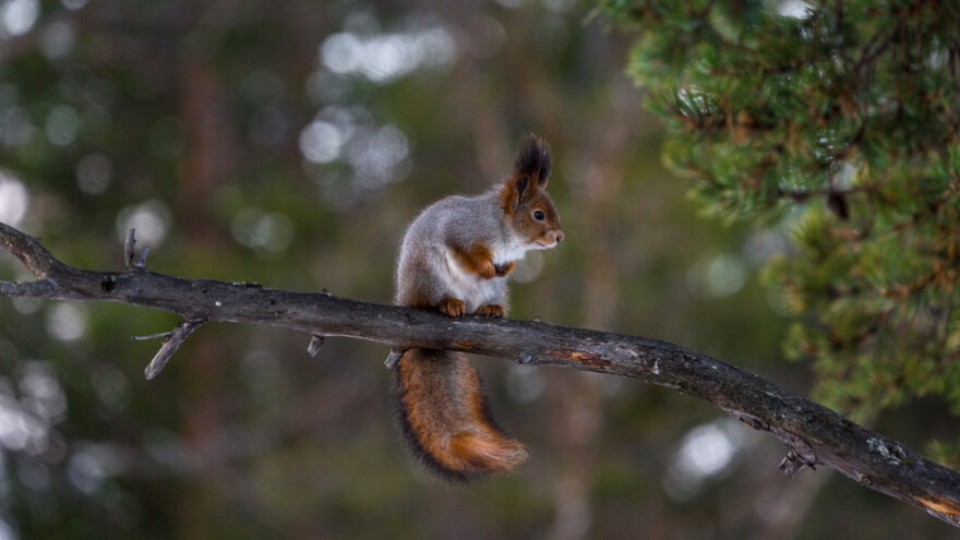 Uvjeti i dalje nepovoljni za radove na otvorenom